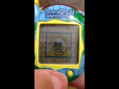 How to play tamagotchi connection